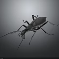 Black Beetle With Long Antennae And Legs On Dark Gradient Background