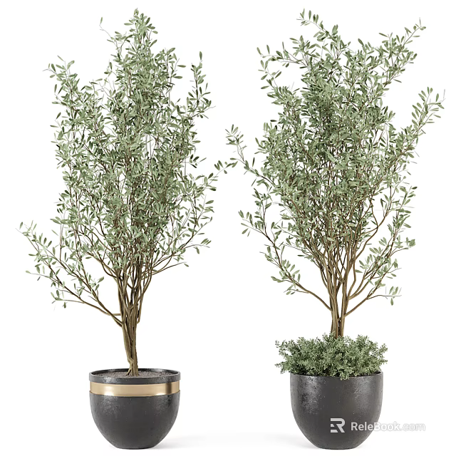 Lush Green Potted Plants in Decorative Gold Trim and Gray Base Pots for Indoor Decor 3d model 