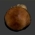 Single Orange Mushroom With Textured Cap And Root Like Stem On Gray Background