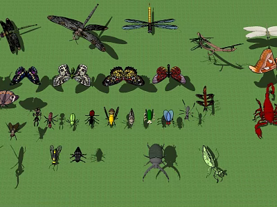 Various Insects Including Butterflies Dragonflies Grasshoppers Beetles With Diverse Colors And Forms On Green Background 3d model