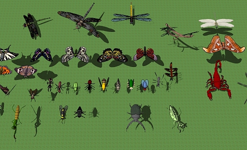 Modern Insects 3d model