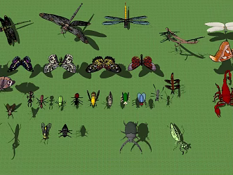 Modern Insects 3d model