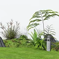 Lush Green Grass Garden With Large Rocks Ferns And Tall Plants