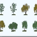 Collection of Diverse Arbor Trees with Green Yellow Leaves and Weeping Shapes