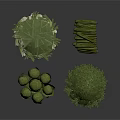 Assorted Fresh Green Vegetables Including Broccoli Asparagus and Leafy Greens on White Background