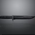 Tactical Military Style Combat Knife With Black Textured Handle Silver Guard And Sharp Metal Blade