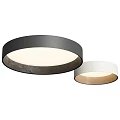 Modern Black and White Ceiling Lights with Minimalist Matte Finish for Home Interior
