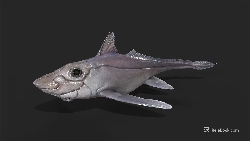 Strange Aquatic Animal With Large Eyes And Silverish Gray Body Features Unique Fins 3d model 