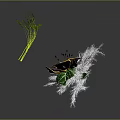 Colorful Flower With White Feather Decorations And Green Long Stemmed Plants In Dark Background