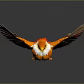 Vibrant Orange And White Bird With Spread Wings On Dark Reflective Surface