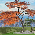red maple tree maple leaf 3d model