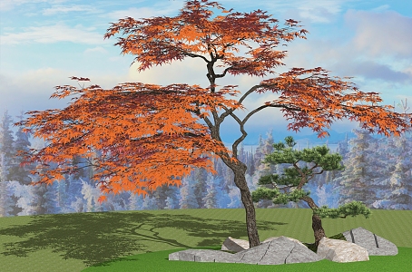 red maple tree maple leaf 3d model