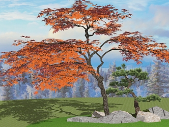 red maple tree maple leaf 3d model