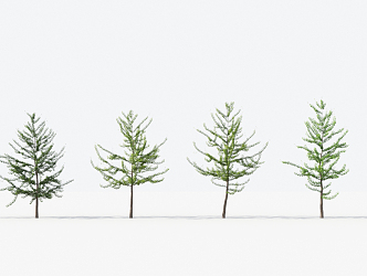 Modern Trees Small Trees 3d model