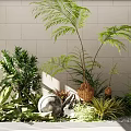Lush Indoor Green Plants Interior With Ferns Stone And Various Foliage