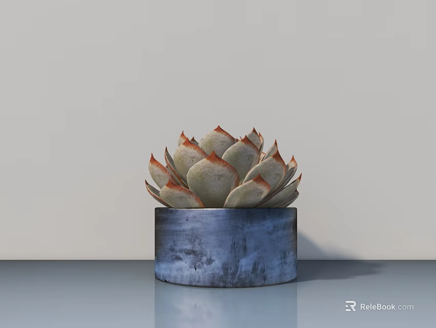 Small Decorative Succulent Bonsai Potted Plant In Blue Pot On Indoor Table 3d model 
