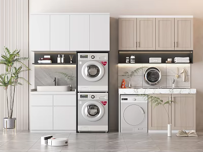 Modern Bathroom Cabinet Frame Design With Washer Sink And Storage Space 3d model