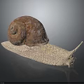 Pinkish Spotted Snail With Spiral Shell And Textured Body On Dark Reflective Surface