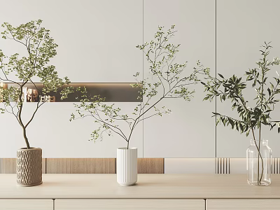 Modern Interior With Woven White Transparent Glass Vases And Green Leaf Branches On Wooden Cabinet 3d model