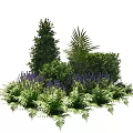 Decorative Garden Plant Arrangement With Lavender Ferns Palm And Green Shrubs
