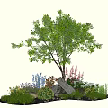 Lush Garden Plant Combination With Tall Tree Various Flowers And Stones