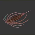 Red Prehistoric Arthropod Model With Segmented Body And Long Appendages