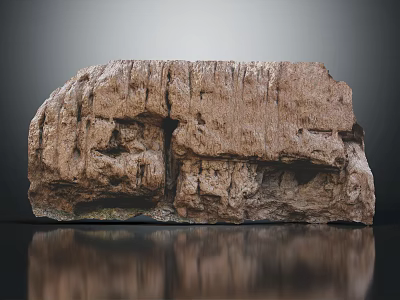 Natural Wooden Stone Display With Rough Textured Surface And Reflective Gray Background 3d model