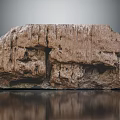 Natural Wooden Stone Display With Rough Textured Surface And Reflective Gray Background
