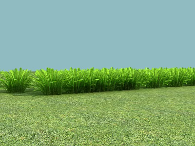 Green Grass Plants Neatly Arranged On Lush Grassland With Light Blue Sky 3d model