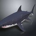 Realistic 3D Shark Model With Gray White Body And Dorsal Fin On Dark Background