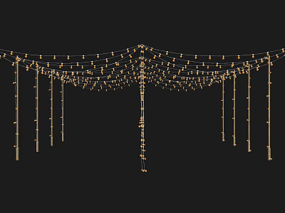 Golden Decorative String Lights Hanging In Multiple Strands For Ambient Glow 3d model