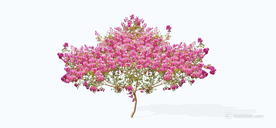 Stunning Lush Flowering Tree With Abundant Pink Blossoms And Green Leaves 3d model 