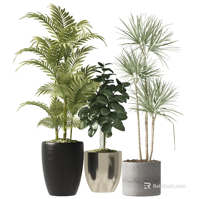 Indoor Potted Plants Featuring Various Green Leaves In Black Silver Gray Pots 3d model 
