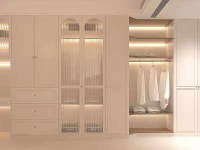 Modern Wardrobe Interior With Glass Doors Drawers Built in Lighting And Hanging Space 3d model