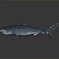 Realistic Striped Blue Shark 3D Model as Aquatic Animal with Sharp Teeth and Detailed Appearance
