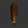 Realistic Small Deer with Brown Fur and Antlers Standing on Dark Background