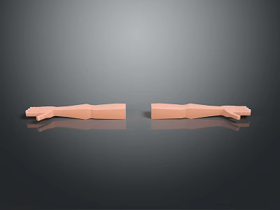 Hand Medical Teaching Aware Medical Supplies Medical Teaching Aware Medical Display 3d model