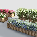 Wooden Planters With Colorful Flowers Including Pink White Blue Blooms And Trailing Greenery