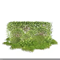 Lush Green Shrubs With Dense Foliage And Various Garden Plant Species