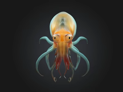 Orange And Blue Squid 3D Model With Long Tentacles On Black Background 3d model