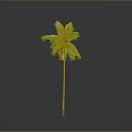 Tall Palm Tree With Slender Trunk And Green Fronds On Gray Background