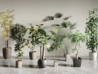 Indoor Bonsai and Potted Plants Collection with Various Greenery and Stylish Pots on Gray Floor 3d model