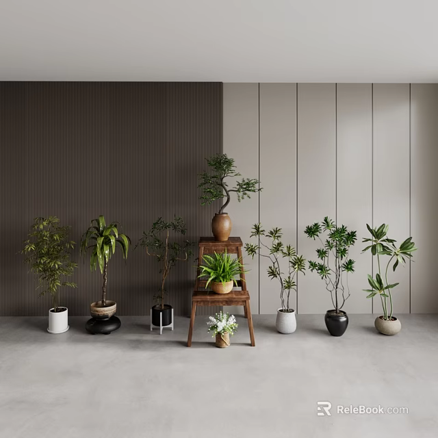 Various Potted Plants With Wooden Ladder And Colorful Pots On Gray Walls And Floor 3d model 