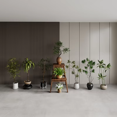 Various Potted Plants With Wooden Ladder And Colorful Pots On Gray Walls And Floor 3d model
