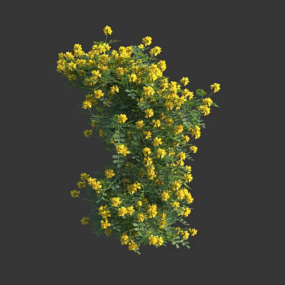 Lush Green Plant With Abundant Yellow Flowers And Vibrant Fresh Leaves 3d model