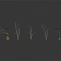Set Of Dry Leafless Trees With Twisted Branches On White Background