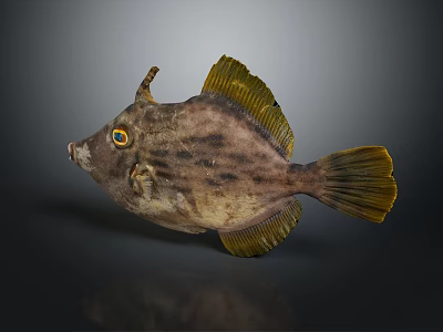 Unique Horned Fish Featuring Orange Eyes Spotted Body And Yellow Fins 3d model
