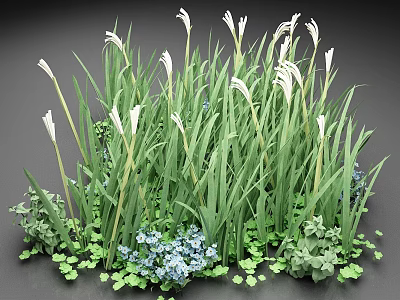 Lush Green Grass With White Flowers Small Blue Blossoms And Fresh Clover 3d model