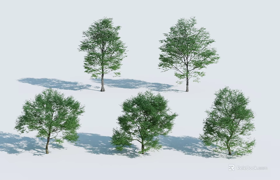Six Green Leafy Trees with Different Shapes and Shadows on White Background 3d model
