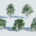 Six Green Leafy Trees with Different Shapes and Shadows on White Background 3d model